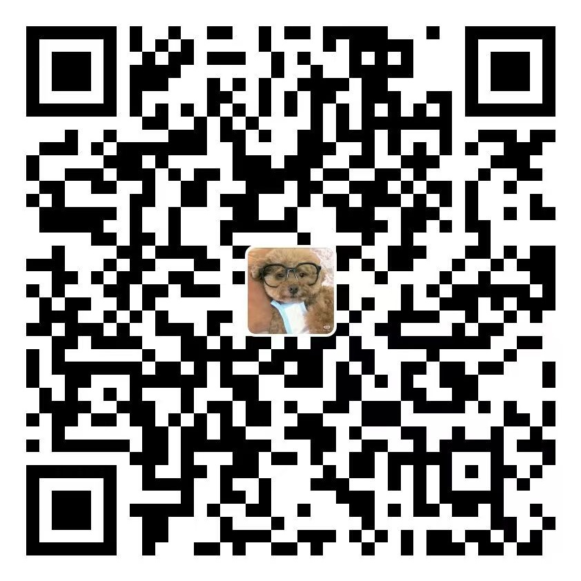 支付宝收款码